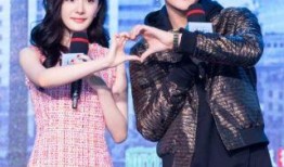 陈晓晓爆料博主视频播放,博主视频播放背后的秘密